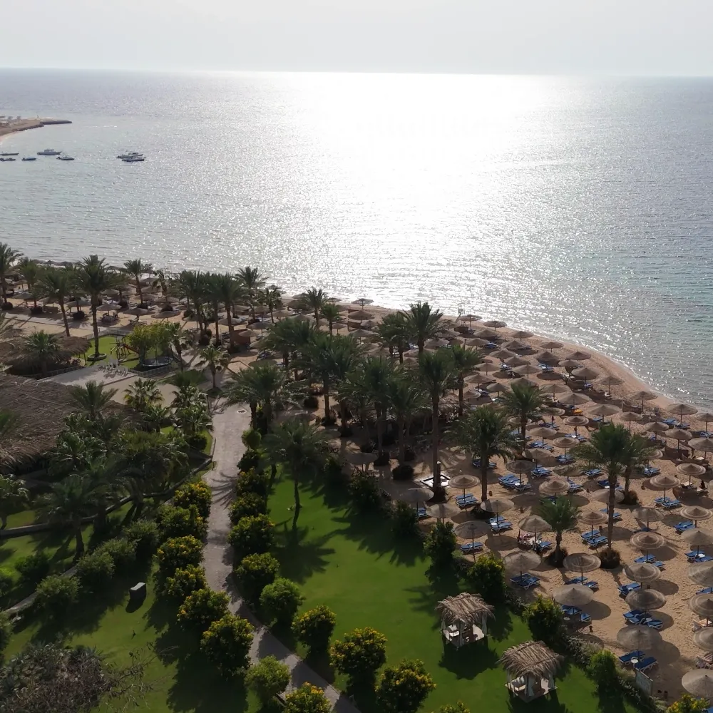 Where the Shoreline Stretches into Serenity