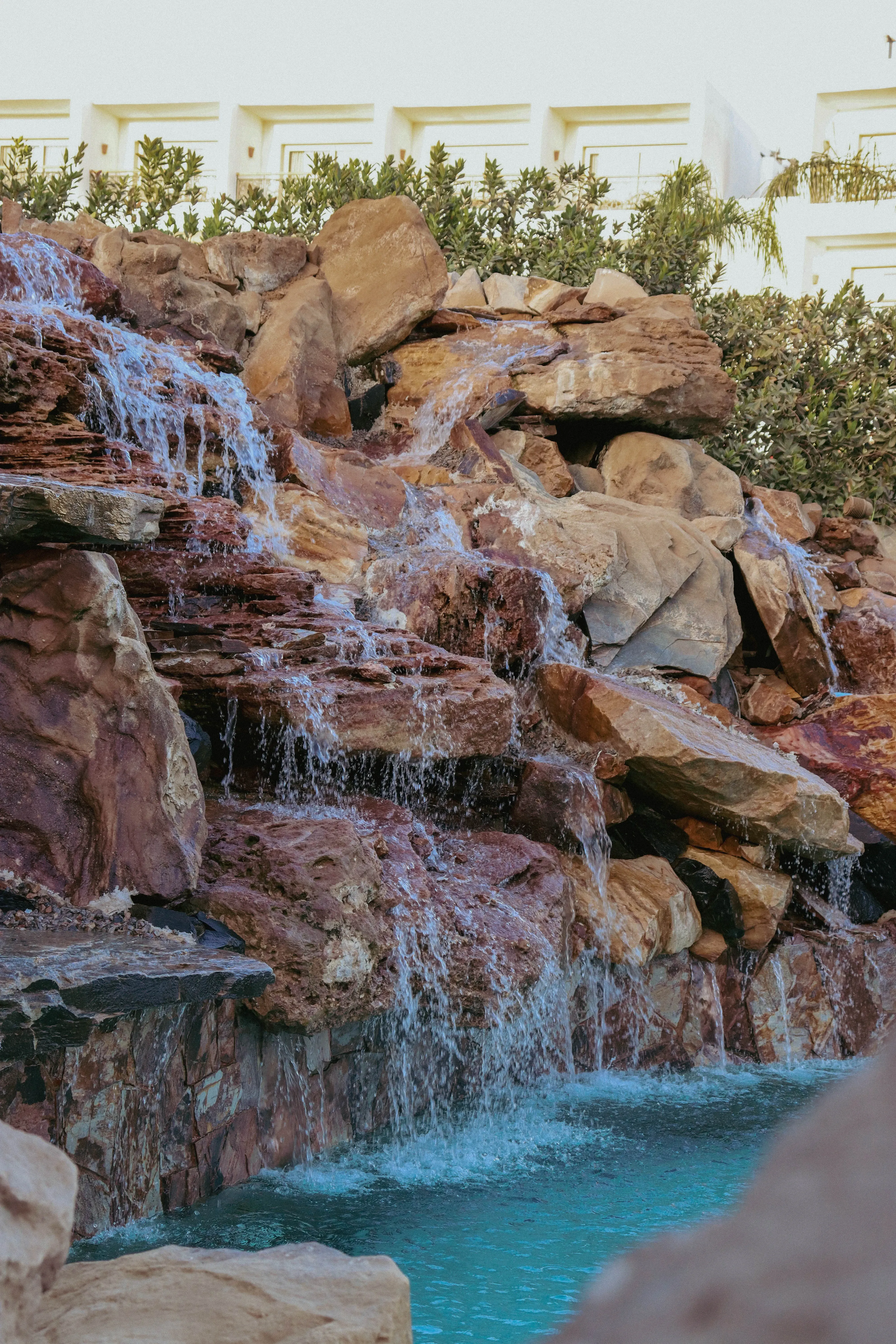 Adults Jungle Pool