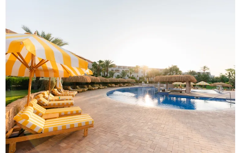 Lively atmosphere, endless fun