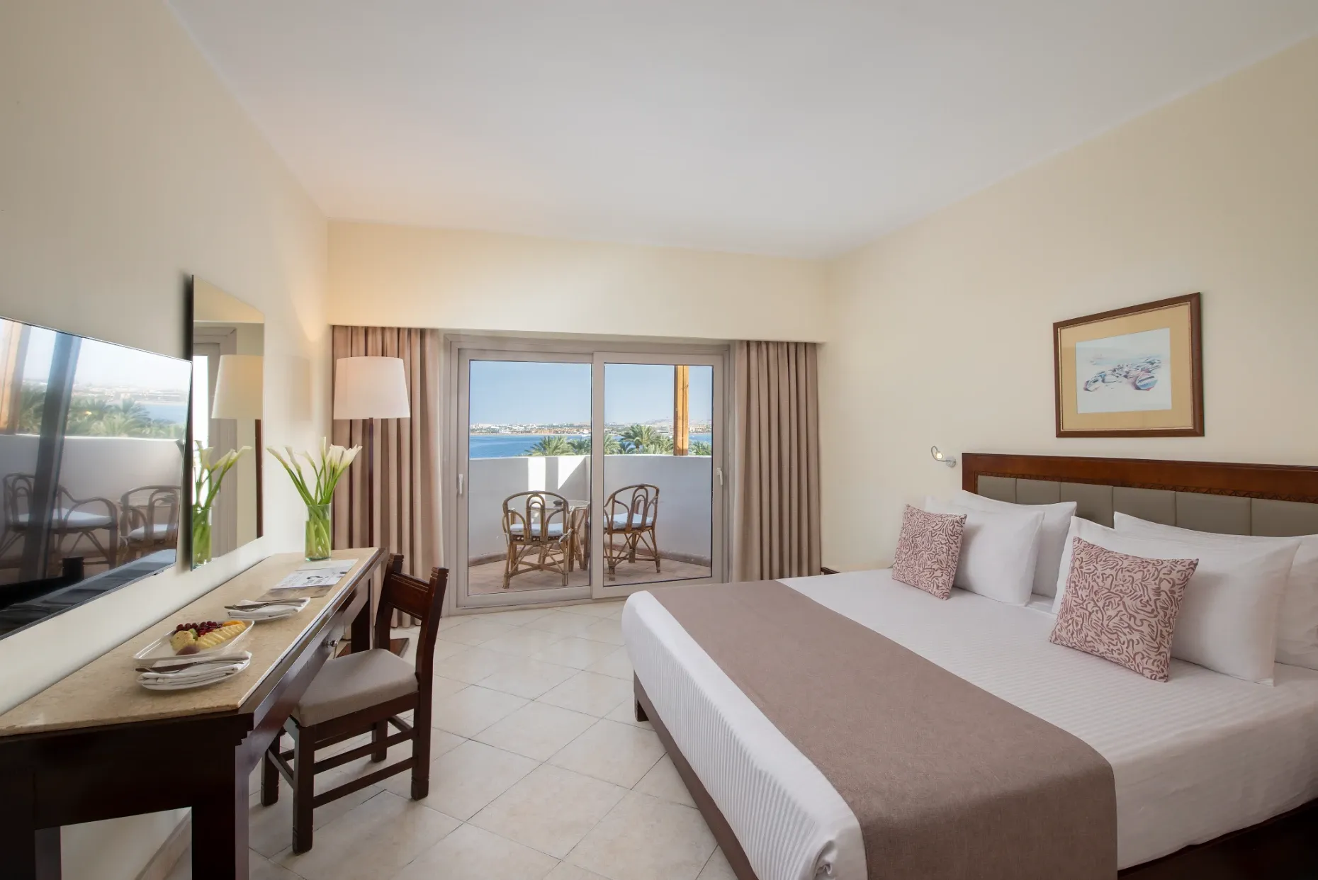Apartment Suite
